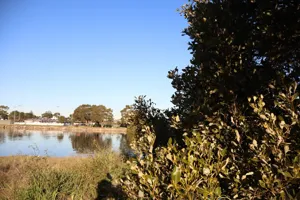 2025-06-21 Bartons Park - IMG_2551_compressed_q50.webp